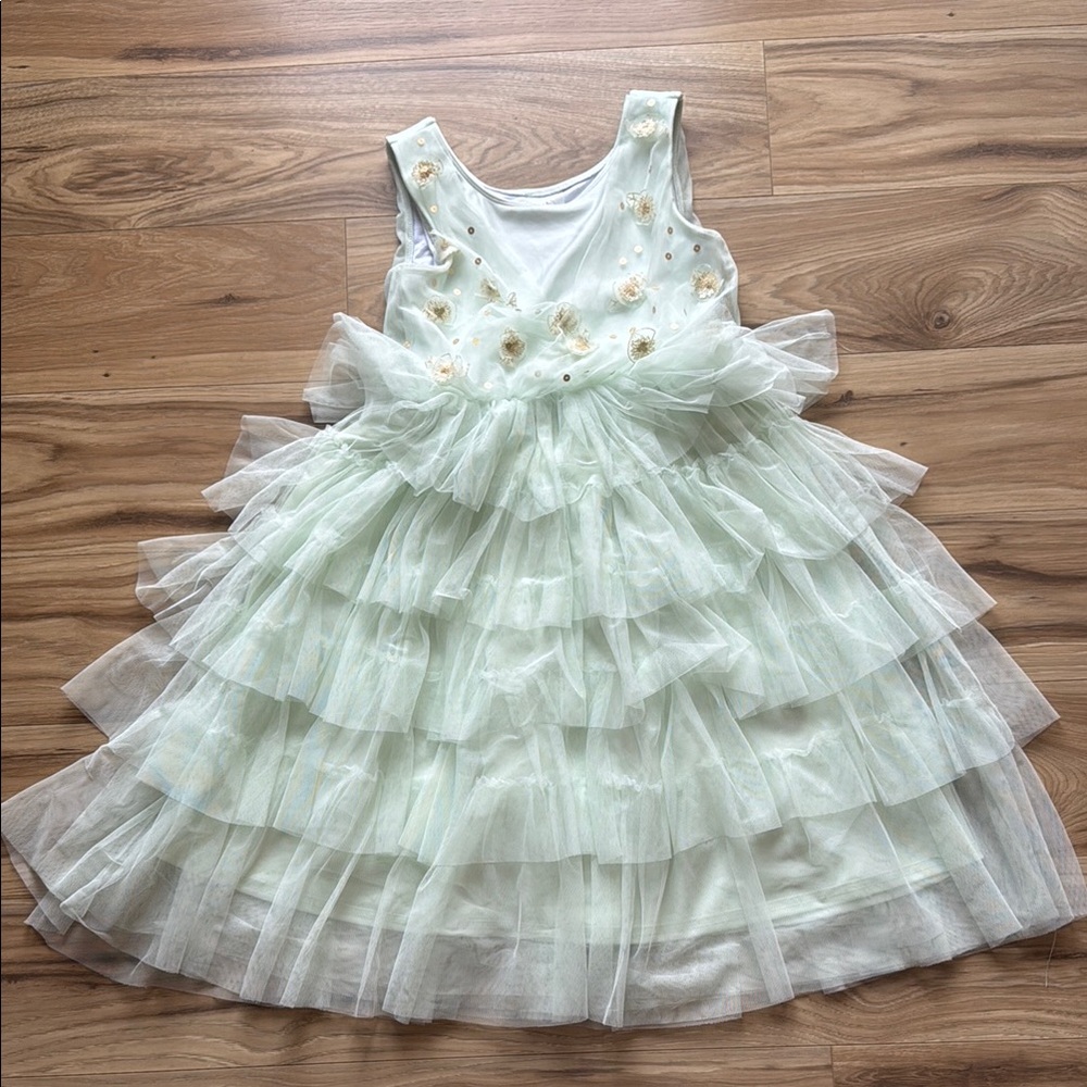 Disney Tiana - Frog Princess Dress